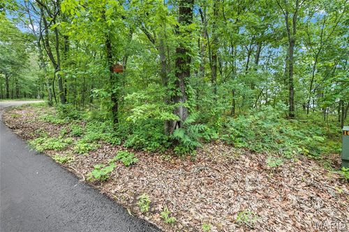 9.41 acres Clermont Drive, Festus, MO, 63028 | Card Image