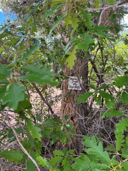TBD Spruce Trail Lot 3, Chama, NM, 87520 | Card Image