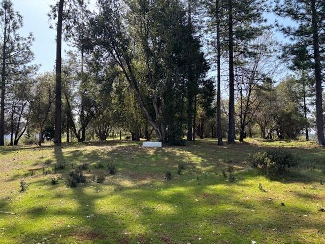 19292 Shawnee Trl, Home with 0 bedrooms, 0 bathrooms and null parking in Mokelumne Hill CA | Image 12