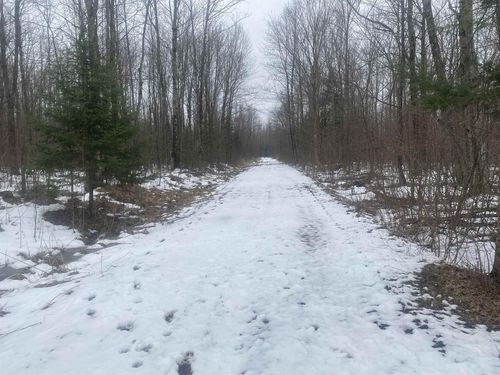 8429-NEAR Spring Brook Avenue, PINE RIVER, WI, 54452 | Card Image