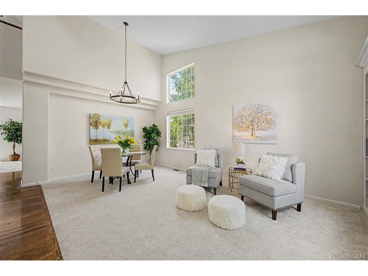 Residential in Castle Rock 5