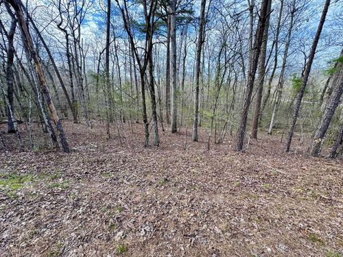 3 Saldana Way, Hot Springs Village, AR, 71909-7401 | Card Image
