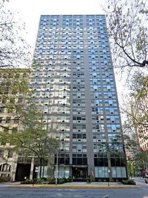 8a-253 E Delaware Pl, Chicago, IL, 60611-5738 | Card Image