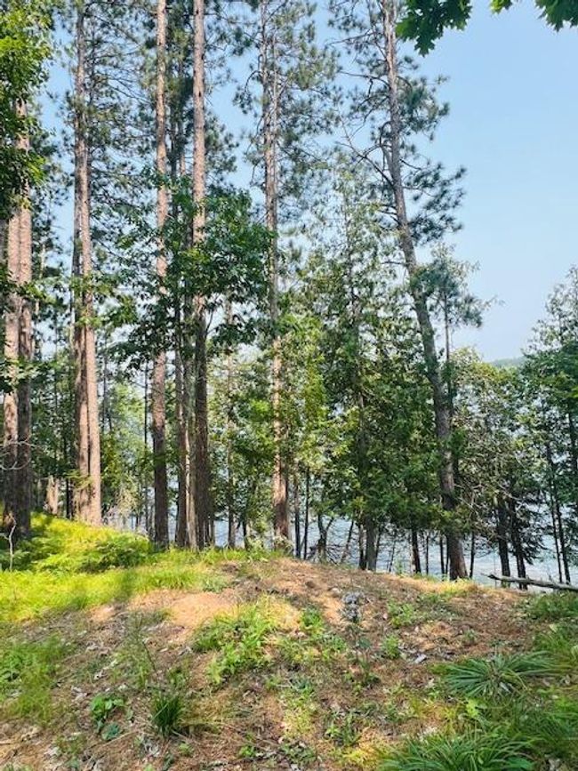 5878 S Thunder Lake Dr Ne, Home with 0 bedrooms, 0 bathrooms and null parking in Remer MN | Image 43