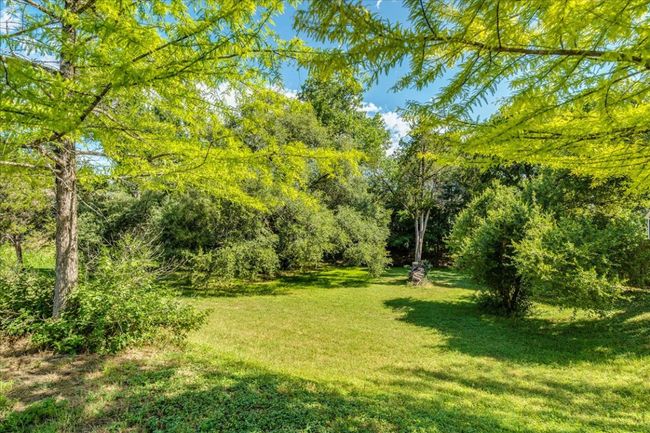 A view of the lush green backyard! | Image 37