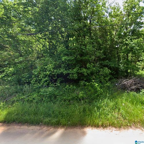 28-224 Pine St Sw, Bessemer, AL, 35022-4773 | Card Image