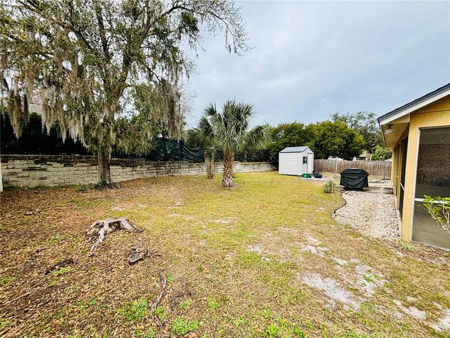 Backyard | Image 15
