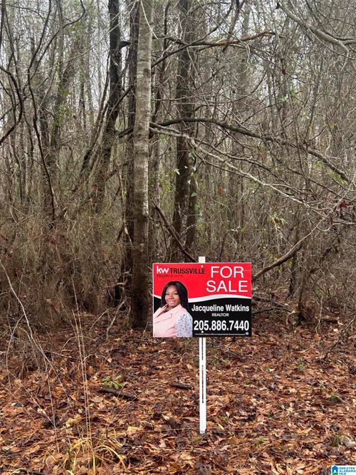 0-0 Hulsey Rd, FOSTERS, AL, 35463 | Card Image