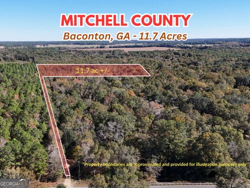 0 Brest Station Rd, Baconton, GA, 31716 | Card Image