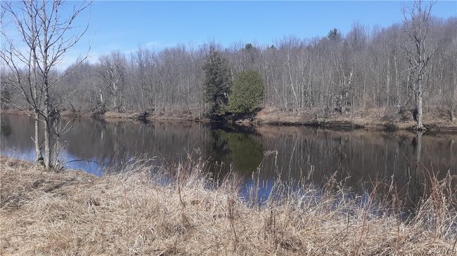 0 County Route 25, Home with 0 bedrooms, 0 bathrooms and null parking in Antwerp NY | Image 13