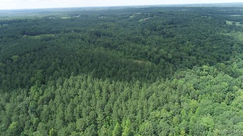 00 Genito Pkwy, Jetersville, VA, 23083 | Card Image