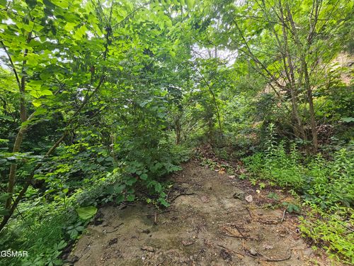 1837 Walker Trl, Sevierville, TN, 37876-8822 | Card Image
