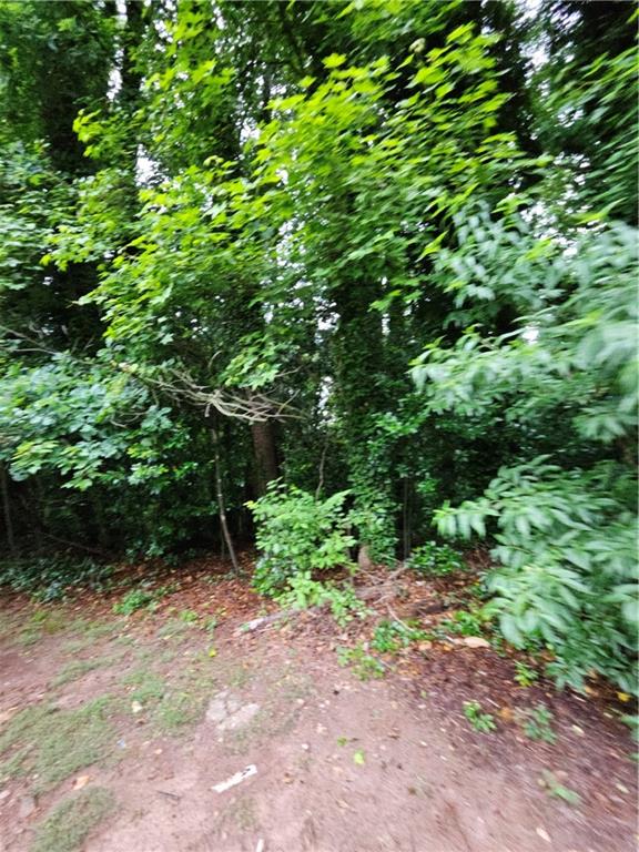 Land in Decatur 2