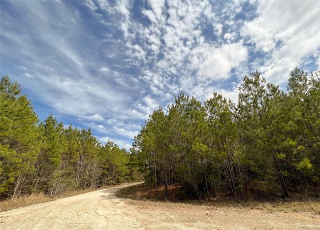 7 Fm 1746, Home with 0 bedrooms, 0 bathrooms and null parking in Spurger TX | Image 9