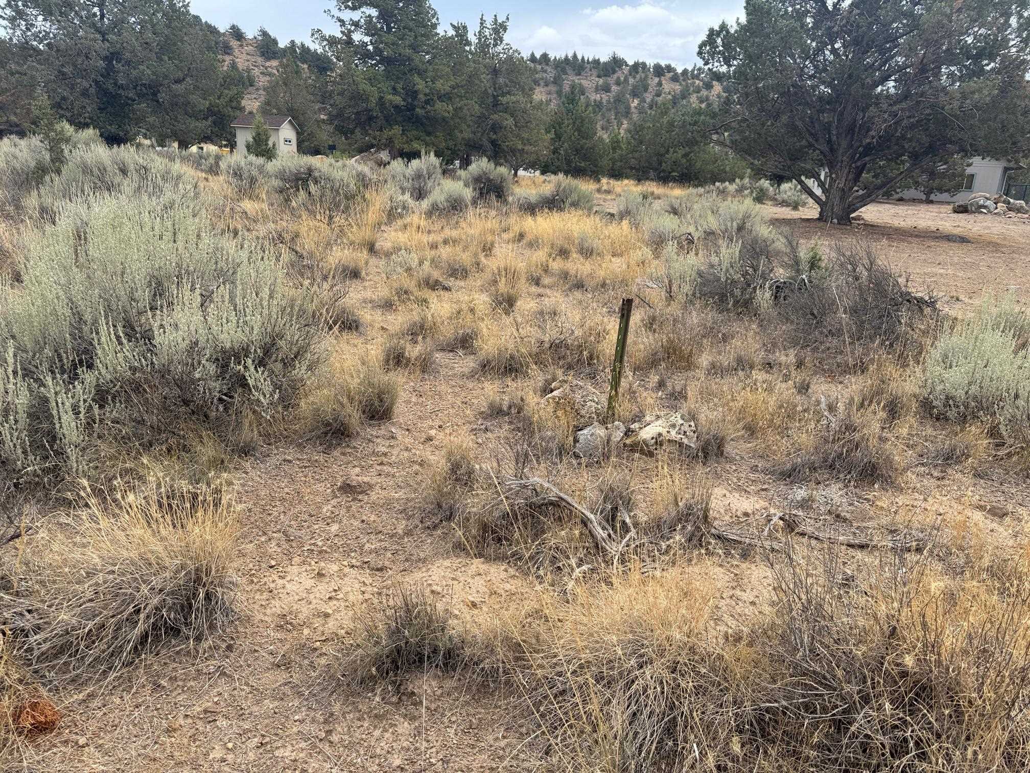 Land in Weed 3