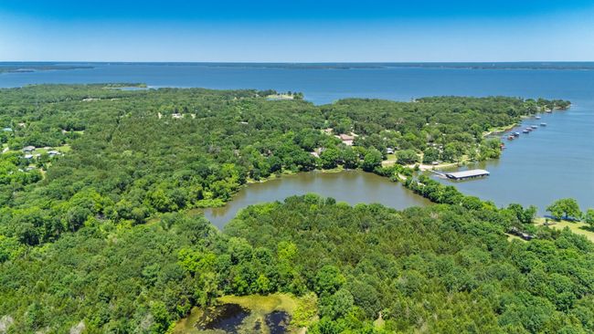 Aerial view shows proximity of the lake cove to the deeded pond! | Image 11