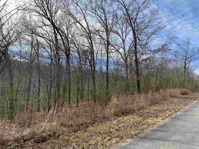 Lot 36 Lower Ridge Circle, Home with 0 bedrooms, 0 bathrooms and null parking in Edgemont AR | Image 2