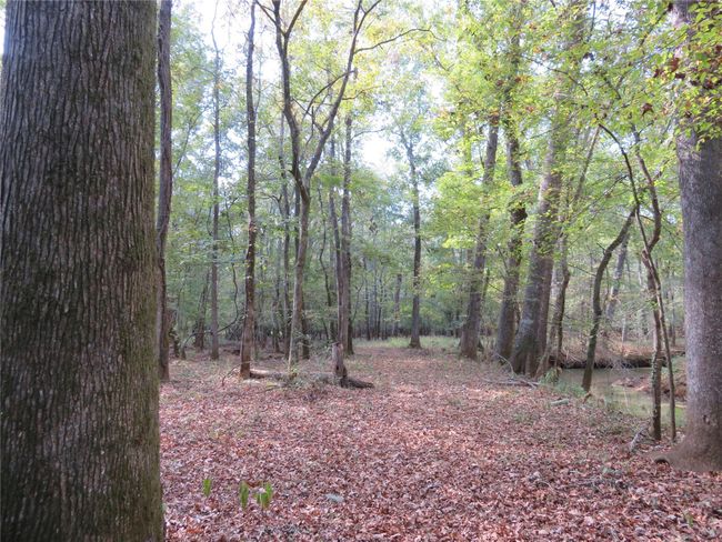 9795 S Us Highway 59, Home with 0 bedrooms, 0 bathrooms and null parking in Nacogdoches TX | Image 12