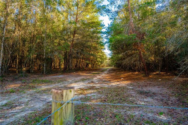 0000 Dark Star Trail, Home with 0 bedrooms, 0 bathrooms and null parking in Brooksville FL | Image 8