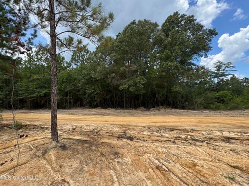 00 Joshua Rd, Mc Henry, MS, 39561 | Card Image