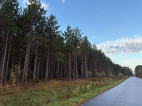 Lot 3 Plantation Rd, Pelican Lake, WI, 54463 | Card Image