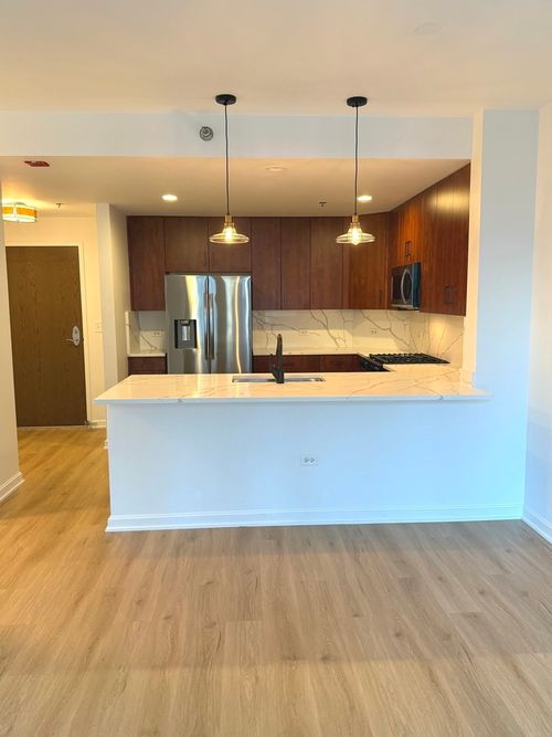 apt-2004-160 Illinois St, Chicago, IL, 60611-5409 | Card Image