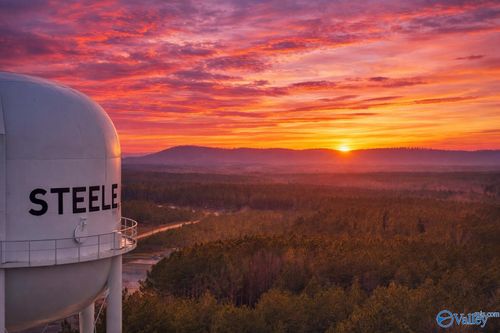 38.1 acres Steele Station Rd, Steele, AL, 35987 | Card Image