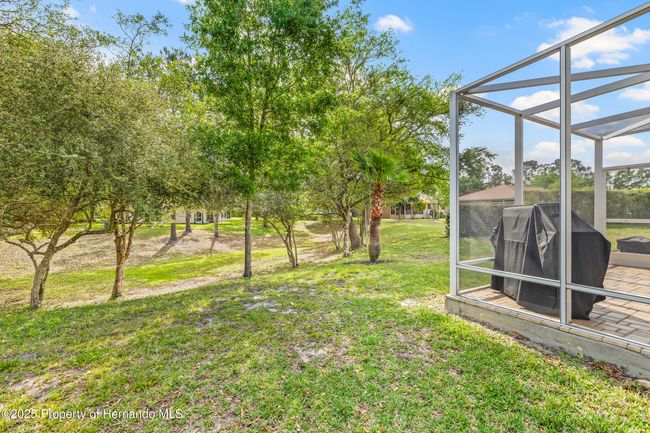4210 Silver Berry Ct, House other with 3 bedrooms, 2 bathrooms and null parking in SPRING HILL FL | Image 39