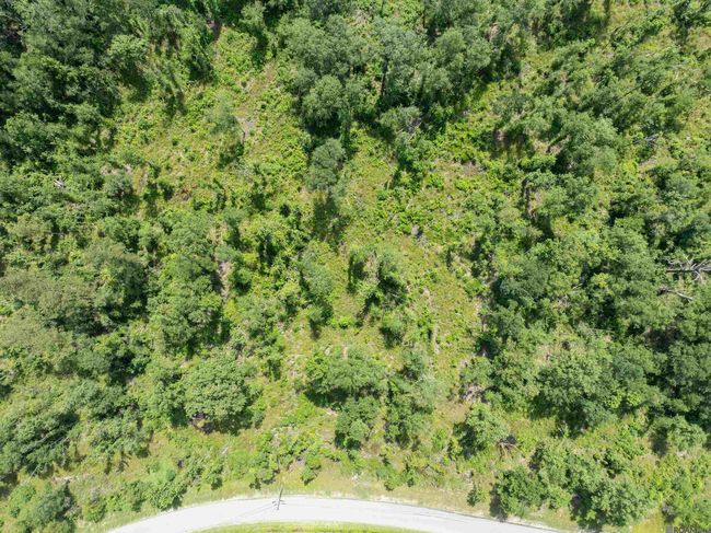 Lot 2-F Lost Oak Ln, Home with 0 bedrooms, 0 bathrooms and null parking in Livingston LA | Image 6