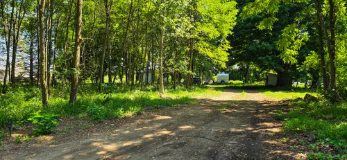 211 S Ray Quincy Rd, Quincy, MI, 49082-9523 | Card Image