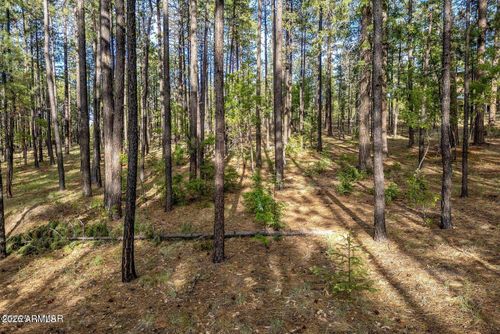 10-15 County Road 2083, Alpine, AZ, 85920 | Card Image