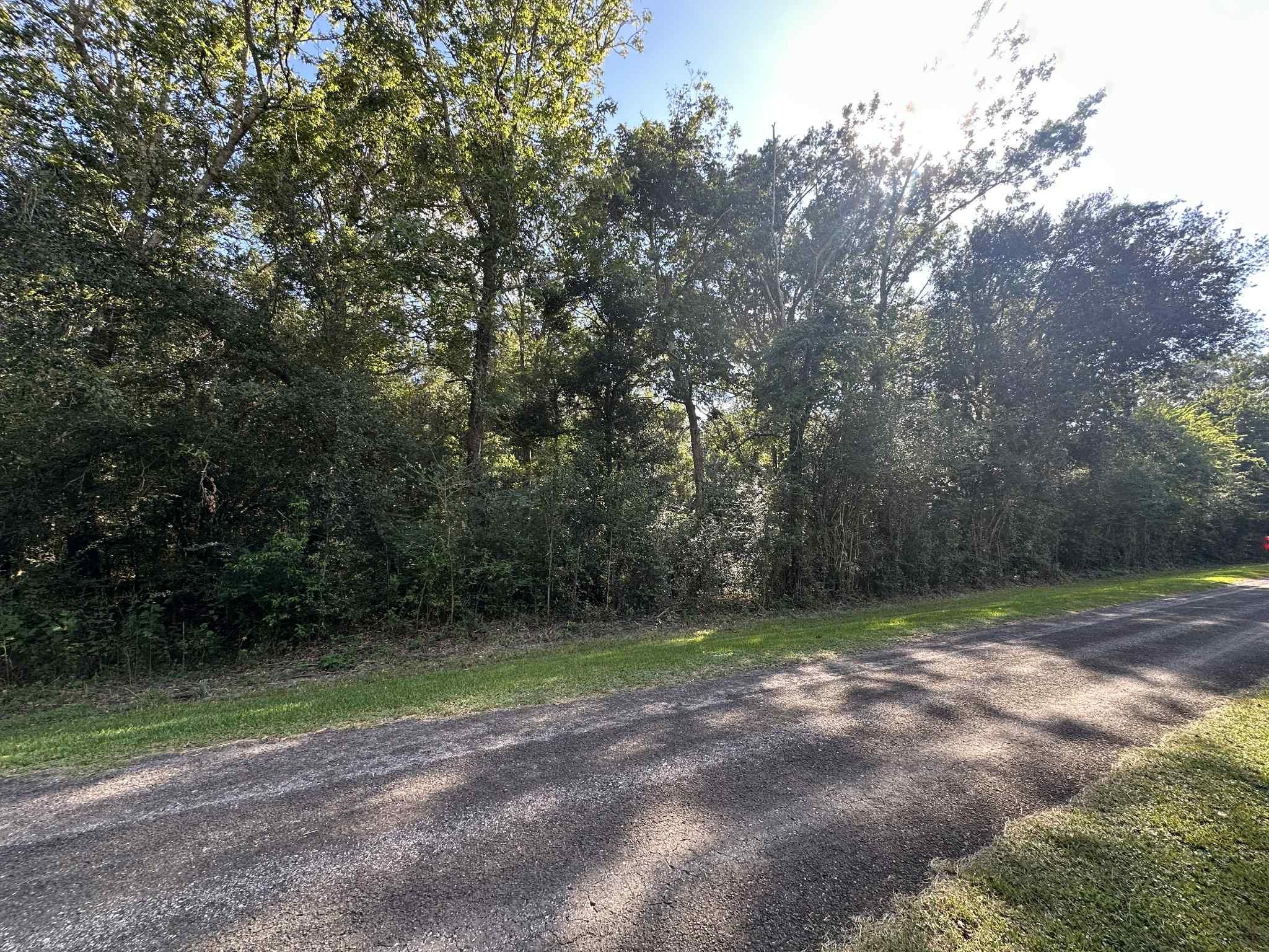Land in Winnie 2