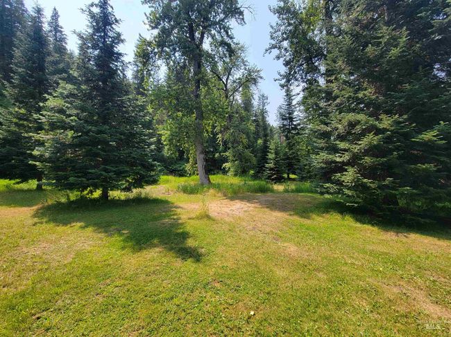 View of green lawn with a wooded view | Image 4