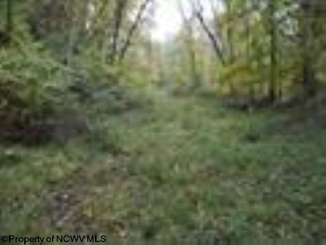 2410 Buckhannon Pike, Home with 0 bedrooms, 0 bathrooms and null parking in Mount Clare WV | Image 20
