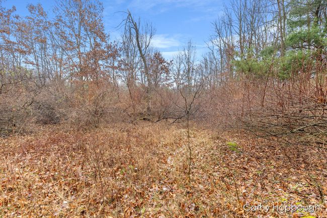 PARCEL-1 - V/L W Snows Lake Road, Home with 0 bedrooms, 0 bathrooms and null parking in Fenwick MI | Image 5