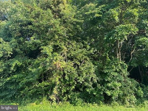 0 Mccormick Swamp Rd, PRINCESS ANNE, MD, 21853 | Card Image