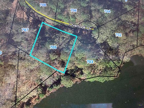 705 Overlook Drive, Montezuma, GA, 31063 | Card Image