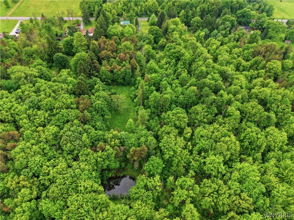 Land in Colden 5