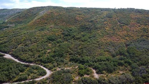 37 Stoney Creek Rd, Hotchkiss, CO, 81419 | Card Image