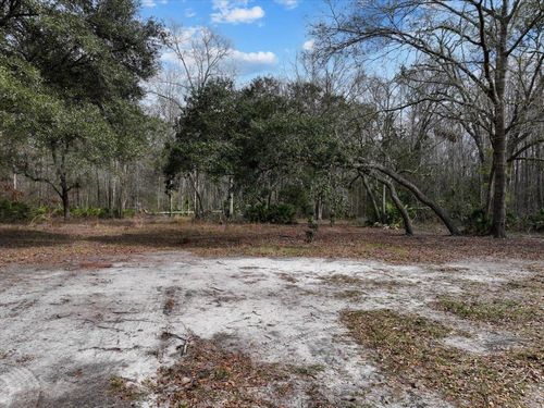 17641 Aucilla River Estates Rd, Lamont, FL, 32336-8009 | Card Image