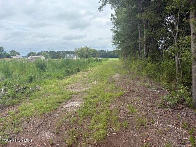 751 Stack Turner Rd, Home with 0 bedrooms, 0 bathrooms and null parking in Chadbourn NC | Image 14
