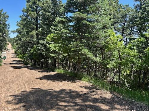 Lot 15 Charles Ln, Rye, CO, 81069 | Card Image