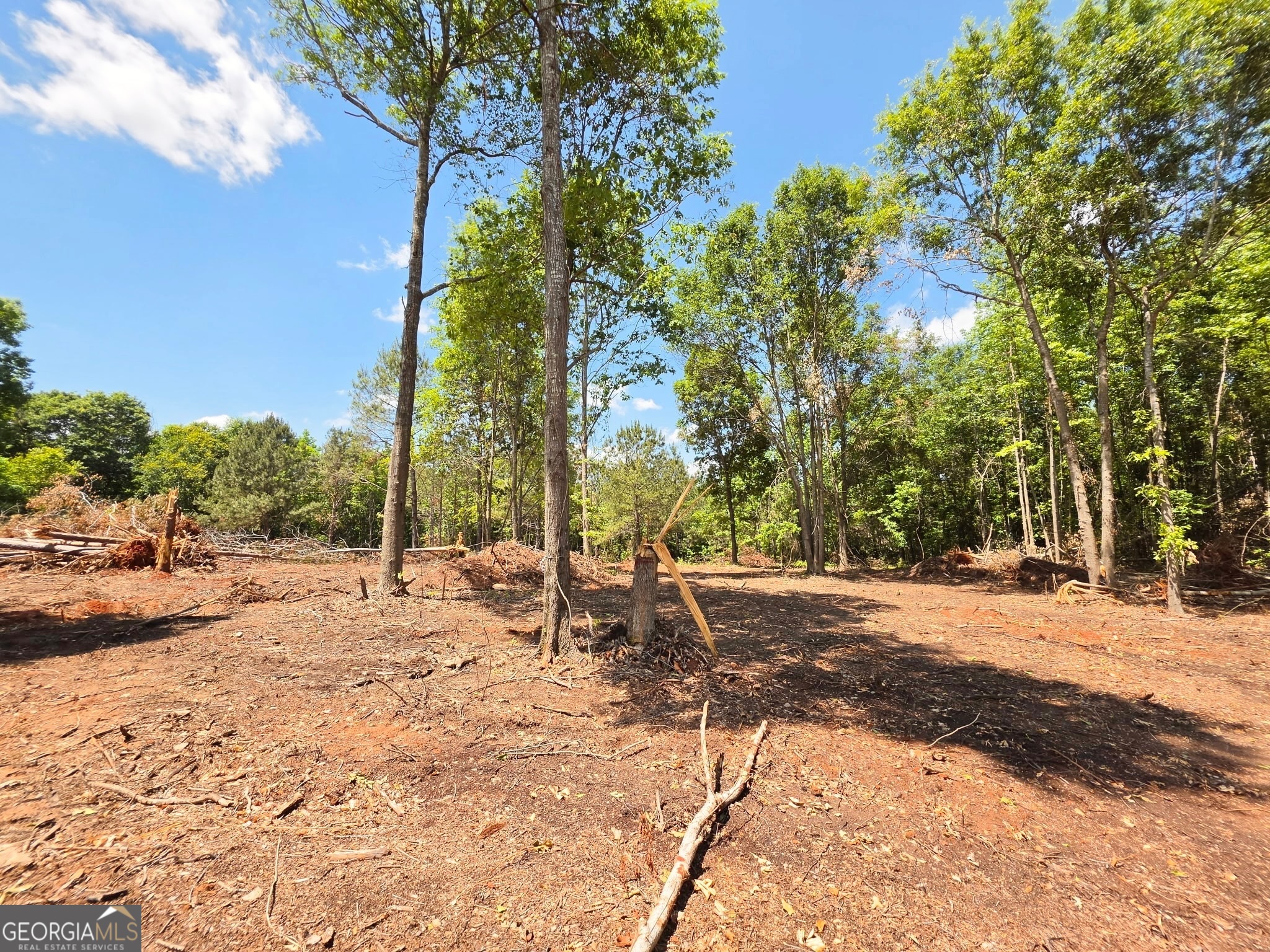 Land in Barnesville 2