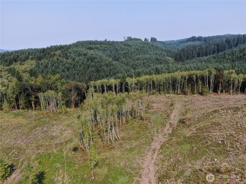 0 Cedar Creek Rd, Oakville, WA, 98568 | Card Image