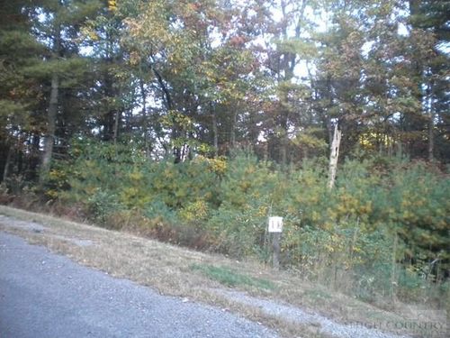 Lot 11 Pine Chase, Glade Valley, NC, 28627 | Card Image