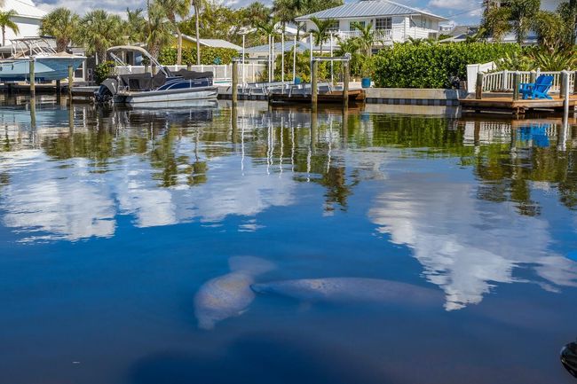 201 N Harbor Dr, House other with 5 bedrooms, 4 bathrooms and null parking in HOLMES BEACH FL | Image 96