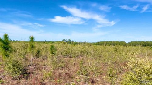 Lot 55 Timber Run Ln, Jay, FL, 32565 | Card Image
