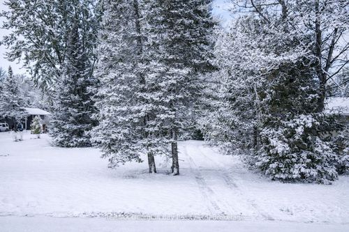 1968 Rosemount Rd, Waubaushene, ON, L0K2C0 | Card Image