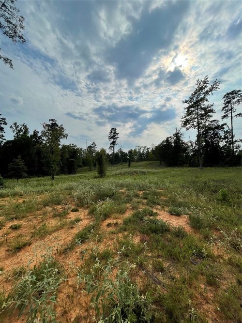 135 Fire Tower Rd, Plain Dealing, LA, 71064-4634 | Card Image