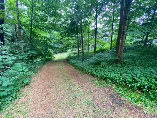 1 Edgewood Ave, House other with 4 bedrooms, 4 bathrooms and null parking in Barre VT | Image 36